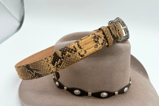 CINTO AMARILLO PYTHON