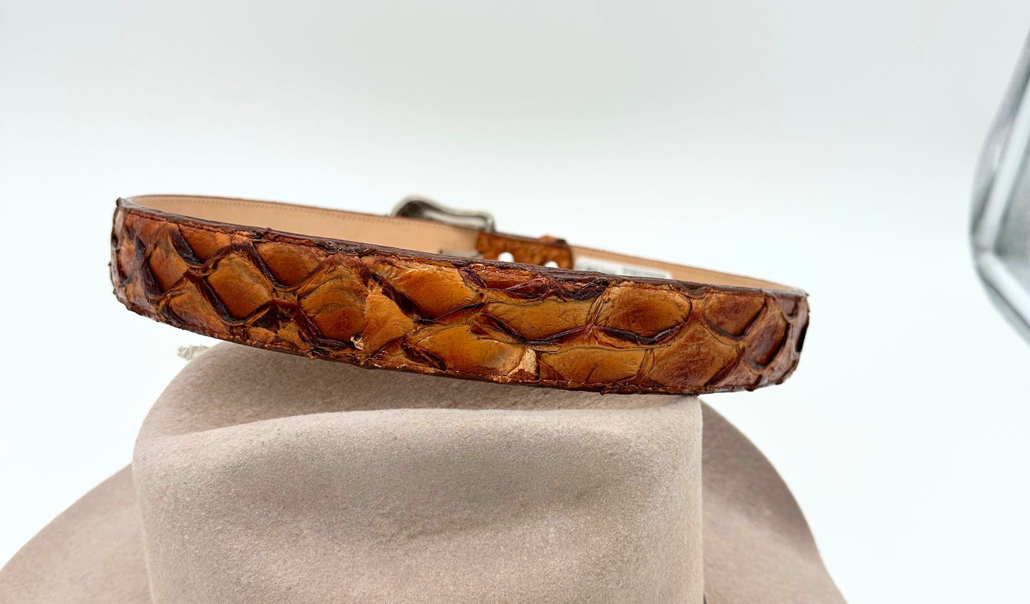 CINTO AMARILLO PYTHON
