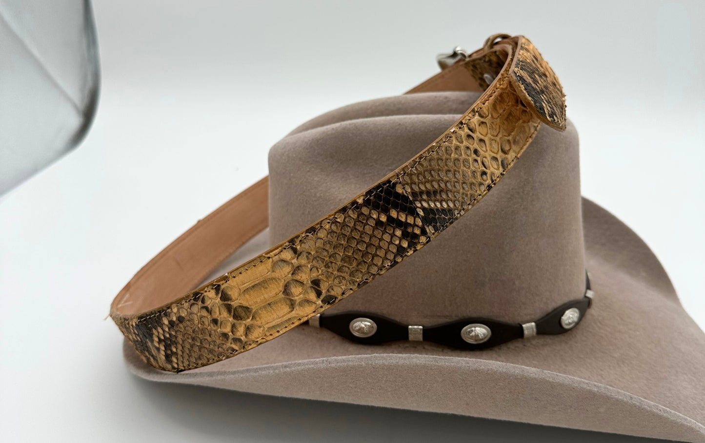 CINTO AMARILLO PYTHON